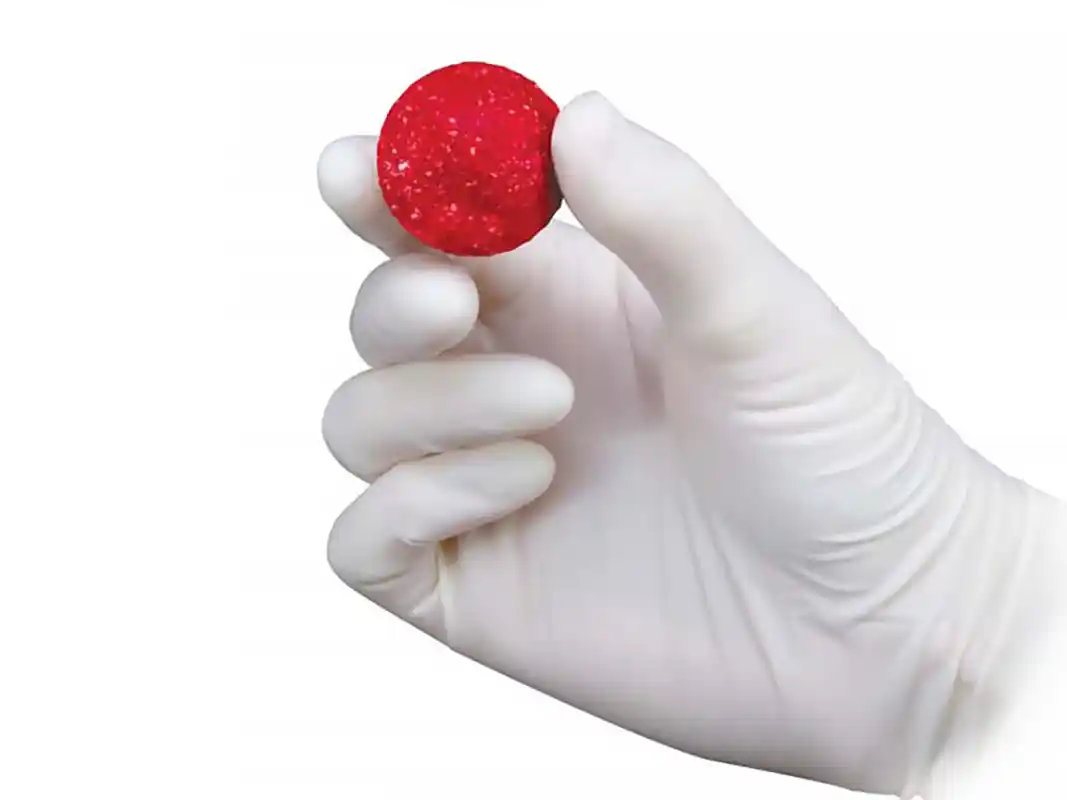 Advanced Bone Graft Substitute