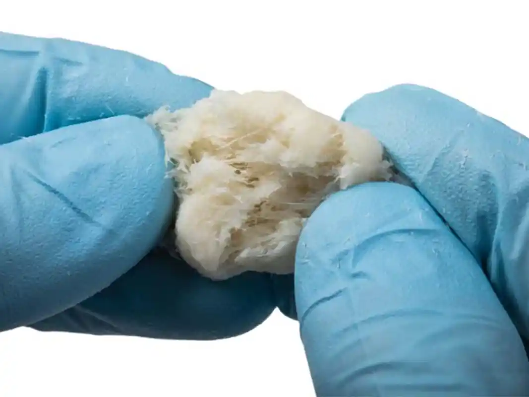 Demineralized Bone Fibers